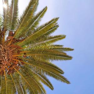 Apartamentos Borda D´Agua