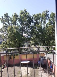 Appartements Cosy 3 pieces Strasbourg : photos des chambres