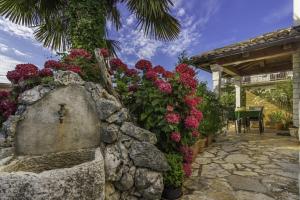 Apartment Banko Diana in Visnjan