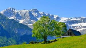 Chalets Gite chalet la Bergerie de Sentantony - Val d-Azun - Montagne Pyrenees : photos des chambres