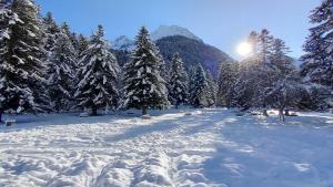 Chalets Gite chalet la Bergerie de Sentantony - Val d-Azun - Montagne Pyrenees : photos des chambres