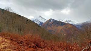 Chalets Gite chalet la Bergerie de Sentantony - Val d-Azun - Montagne Pyrenees : photos des chambres