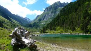 Chalets Gite chalet la Bergerie de Sentantony - Val d-Azun - Montagne Pyrenees : photos des chambres