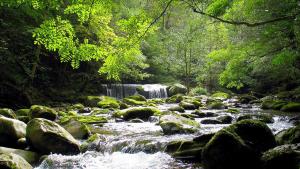 Chalets Gite chalet la Bergerie de Sentantony - Val d-Azun - Montagne Pyrenees : photos des chambres