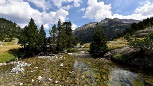 Chalets Gite chalet la Bergerie de Sentantony - Val d-Azun - Montagne Pyrenees : photos des chambres