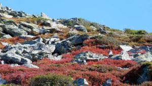 Chalets Gite chalet la Bergerie de Sentantony - Val d-Azun - Montagne Pyrenees : photos des chambres