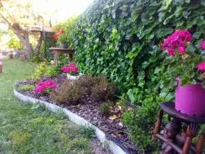 Casa Rural La Matilla - 新阿森西奥