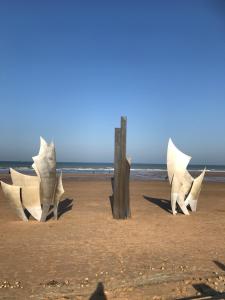 Appartements le nid cosy : Appartement 1 Chambre