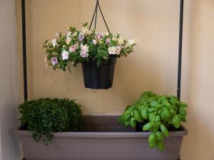 Civico 35 Cozy Loft Cagliari