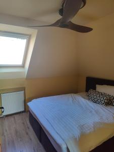 Parrot district apartments