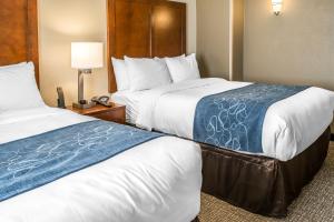 Double Suite - Non-Smoking room in Comfort Suites Near Potomac Mills