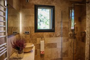 Villas Villa d-exception au Beausset avec piscine chauffee : photos des chambres