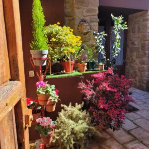 Casa Rural Los Carros