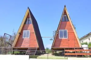 Dollies A Frame - 丁迪古尔