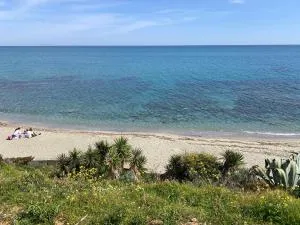 T2 neuf vue mer, piscine chauffée N194 - Linguizzetta