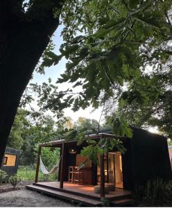 Cabañas en medio del bosque