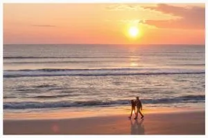 Ocean Front 2BR Condo Amazing Sunrise View - Ormond-by-the-Sea