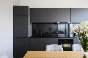 Esplanaadi Apartment with roof terrace