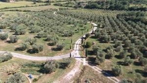 Casetta dell`Uliveto