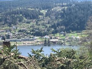 Chalets Chalet de luxe -8 pers- sauna - vues lac & montagne : photos des chambres