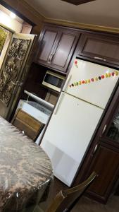 شقه مفروشه مع حديقه اربد بجانب فندق فلامنجو ومدارس دار العلوم