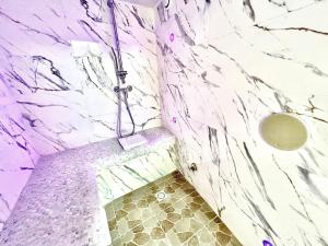 Appartements loft des desirs hammam, jacuzzi : photos des chambres