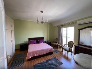 Panorama Nile View Duplex-Giza