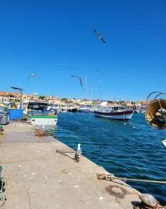 Appartement de la Côte bleue - 卡罗