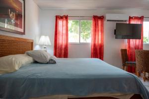 Aruba SunRise Studio Rentals - San Nicolas