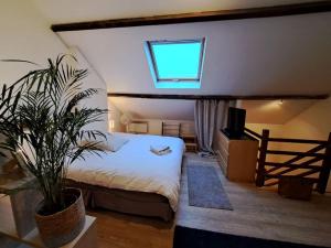 T1 spacieux lumineux à proximité gare et centre de cambrai