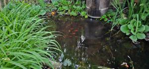 Maisons de vacances Large house with garden close Olympics and Paris : photos des chambres