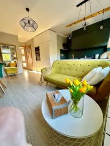 Mieszkanie w centrum Kutna - Sójki