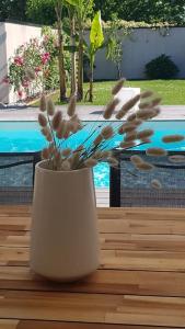 Villas Cosy&Charme piscine chauffee Bassin d-Arcachon : photos des chambres