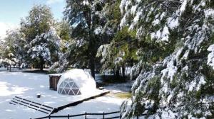 Domo Reserva Conguillío - Ubytování bez kategorie ve městě Curacautín