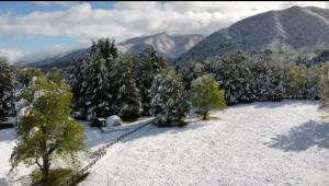 Domo Reserva Conguillío