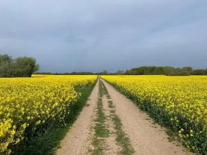Zur Schleibrücke - Boren