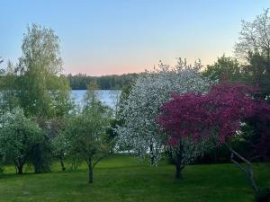 Dzīvoklis Kastaņas