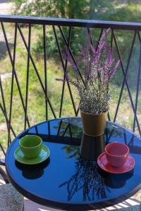 Apartman Ombra - 3hvězdičkové hotely ve městě Veliko Gradište