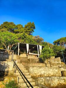Green House apartments - two bedroom apartment