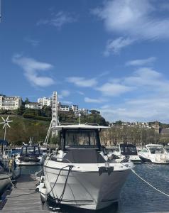 Boat Accommodation Ltd