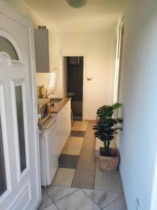 Green House apartments-studio