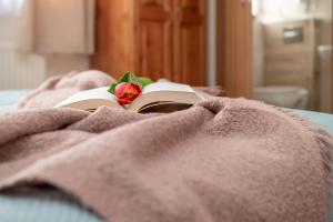 WILLA ANNA - 20 procent Termy Gorący Potok