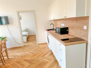Stylish Apartment Next To Wenceslas Square