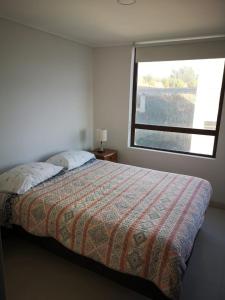 Departamento de Lujo Pingueral