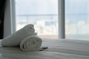 Southview Luxury Penthouse