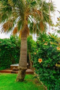 Villa in PUERTO BANUS