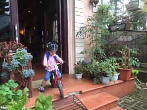 Thai Binh Sapa Hotel