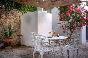 Casa Armadillo, colonial house with pool