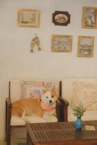 Nắng Mùa Hạ homestay