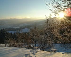 Hotels Auberge du Grammont : photos des chambres